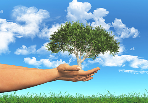 Green & Sustainable